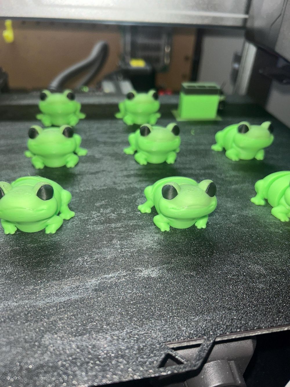 Mini Fidget coqui Frog Toy